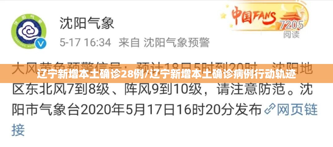 辽宁新增本土确诊28例/辽宁新增本土确诊病例行动轨迹