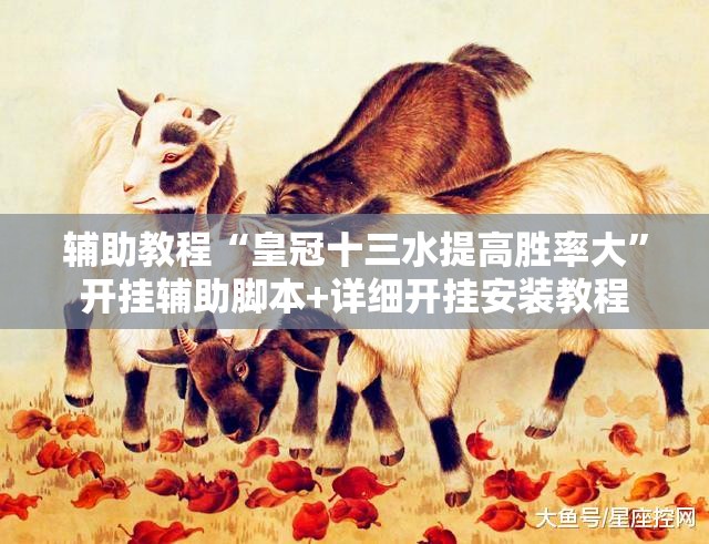 辅助教程“皇冠十三水提高胜率大”开挂辅助脚本+详细开挂安装教程