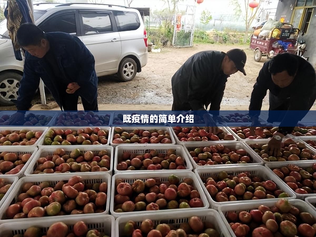 既疫情的简单介绍