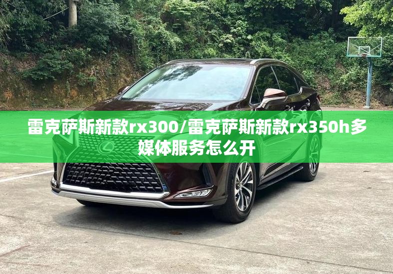 雷克萨斯新款rx300/雷克萨斯新款rx350h多媒体服务怎么开
