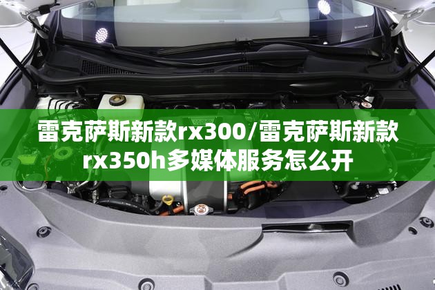 雷克萨斯新款rx300/雷克萨斯新款rx350h多媒体服务怎么开