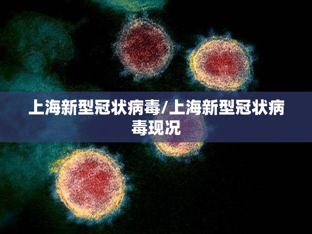 上海新型冠状病毒/上海新型冠状病毒现况 上海新型冠状病毒/上海新型冠状病毒现况