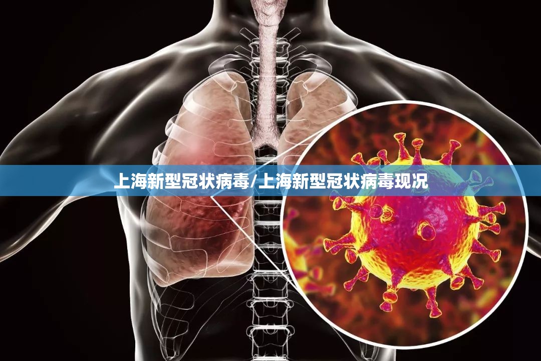 上海新型冠状病毒/上海新型冠状病毒现况 上海新型冠状病毒/上海新型冠状病毒现况