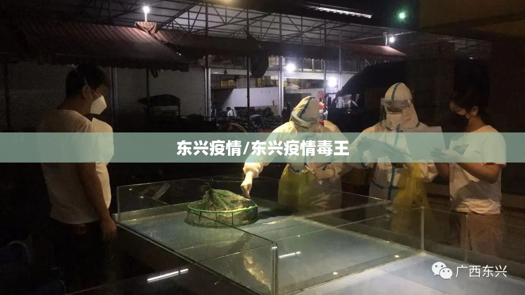 东兴疫情/东兴疫情毒王 东兴疫情/东兴疫情毒王