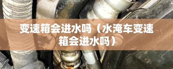 变速箱会进水吗(水淹车变速箱会进水吗) 变速箱会进水吗(水淹车变速箱会进水吗)