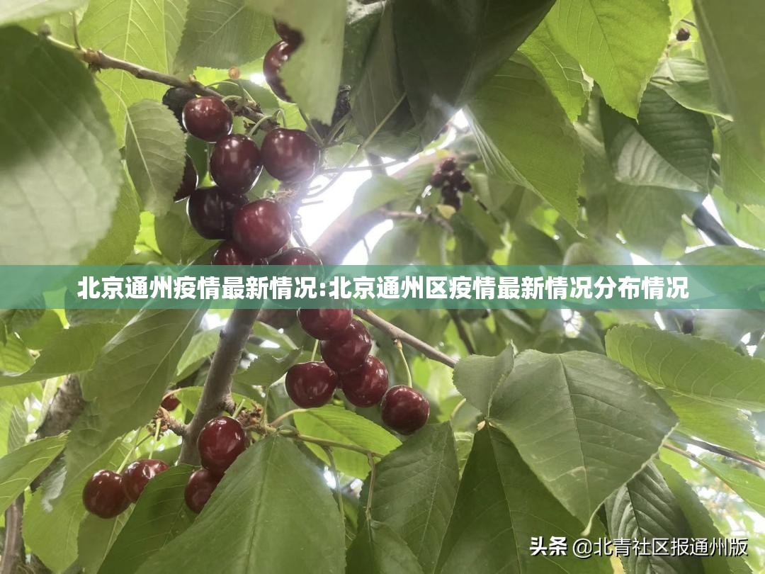 北京通州疫情最新情况:北京通州区疫情最新情况分布情况 北京通州疫情最新情况:北京通州区疫情最新情况分布情况