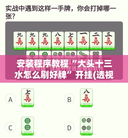 安装程序教程“大头十三水怎么刷好牌”开挂(透视)辅助教程