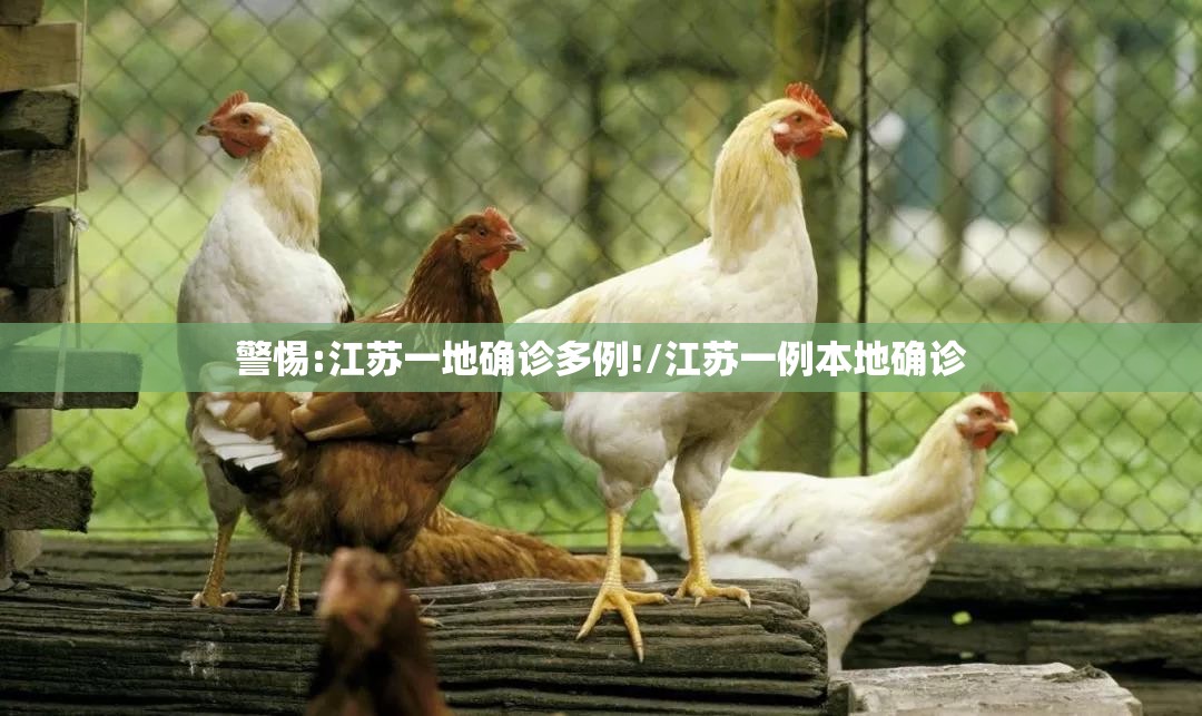警惕:江苏一地确诊多例!/江苏一例本地确诊 警惕:江苏一地确诊多例!/江苏一例本地确诊