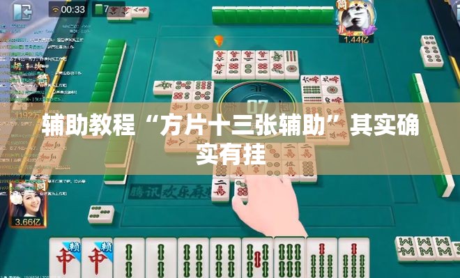 辅助教程“方片十三张辅助”其实确实有挂
