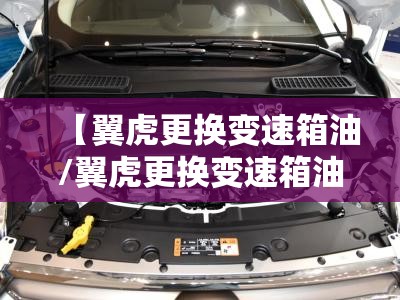 【翼虎更换变速箱油/翼虎更换变速箱油后加速易降档吗】