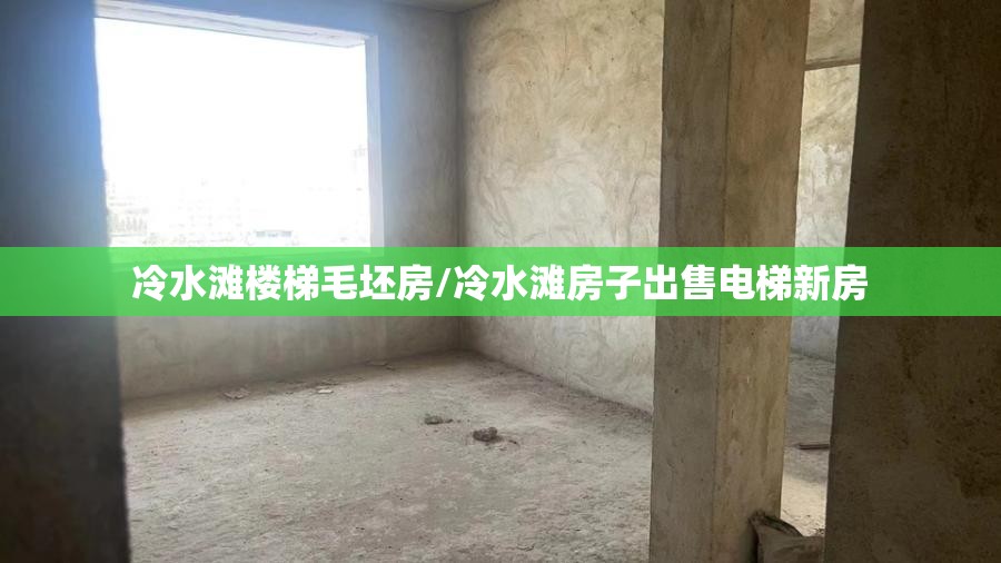 冷水滩楼梯毛坯房/冷水滩房子出售电梯新房