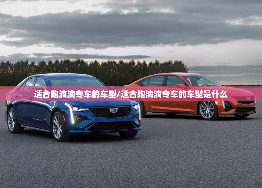 适合跑滴滴专车的车型/适合跑滴滴专车的车型是什么