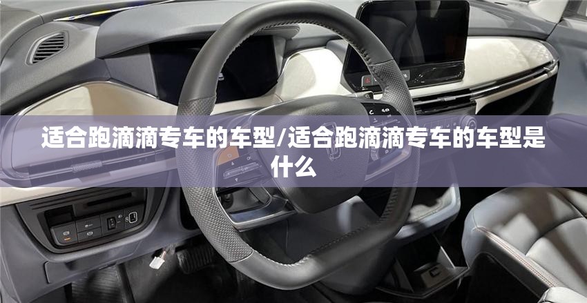 适合跑滴滴专车的车型/适合跑滴滴专车的车型是什么