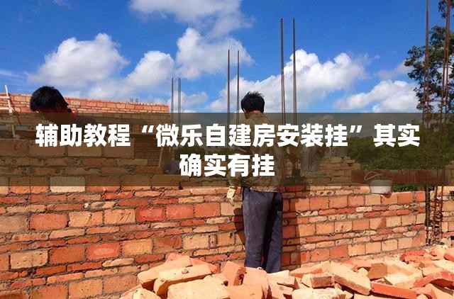 辅助教程“微乐自建房安装挂”其实确实有挂