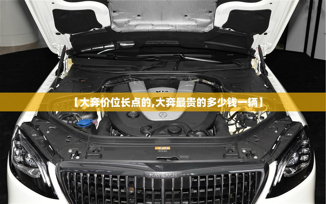 【大奔价位长点的,大奔最贵的多少钱一辆】