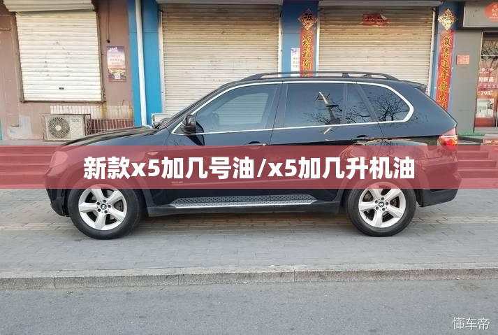 新款x5加几号油/x5加几升机油