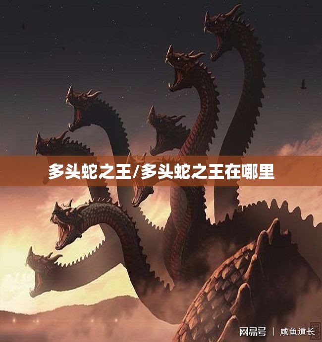 多头蛇之王/多头蛇之王在哪里 多头蛇之王/多头蛇之王在哪里