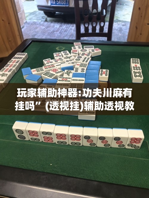 玩家辅助神器:功夫川麻有挂吗	”(透视挂)辅助透视教程
