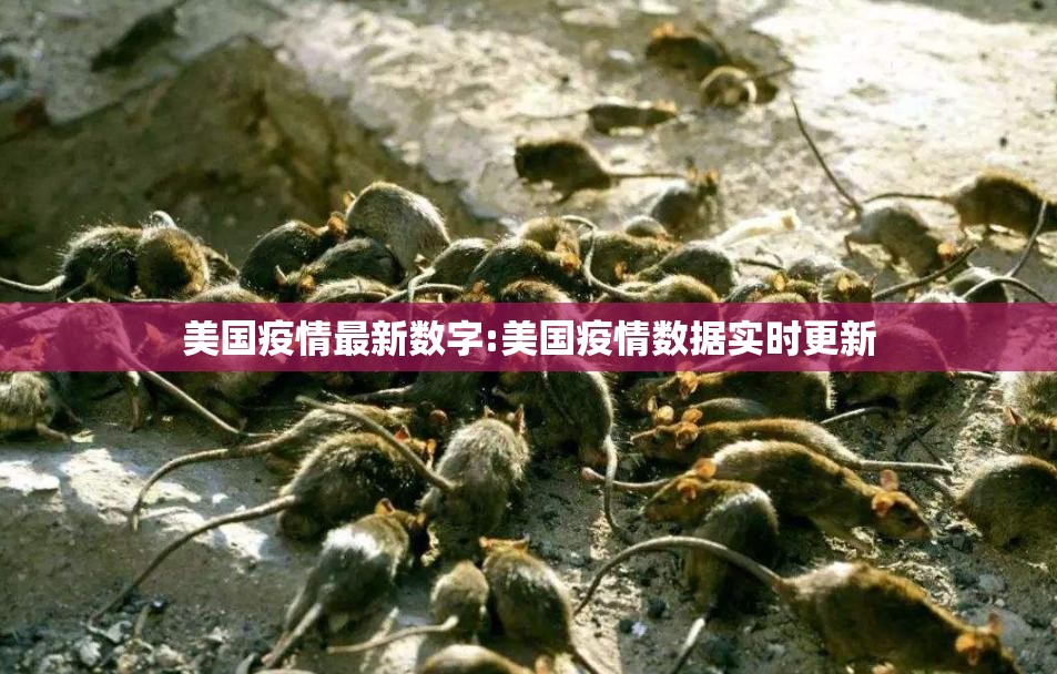 美国疫情最新数字:美国疫情数据实时更新