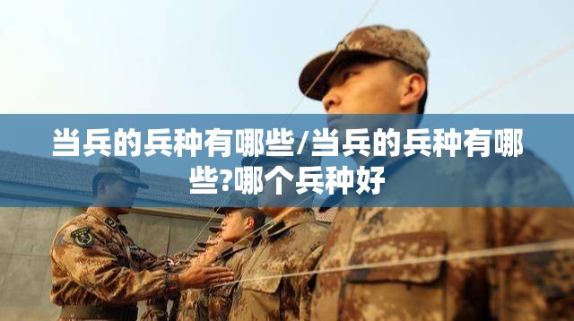 当兵的兵种有哪些/当兵的兵种有哪些?哪个兵种好