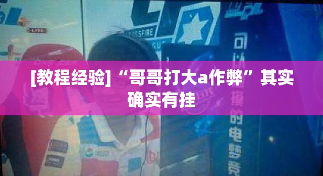 [教程经验]“哥哥打大a作弊”其实确实有挂