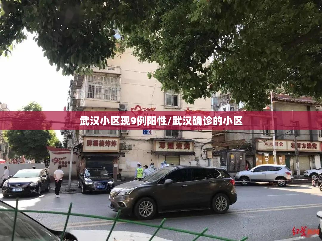 武汉小区现9例阳性/武汉确诊的小区