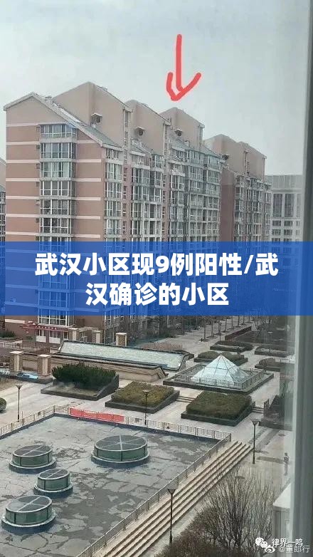 武汉小区现9例阳性/武汉确诊的小区