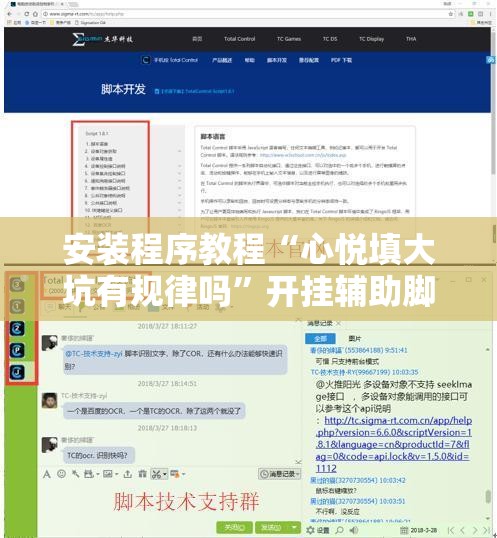 安装程序教程“心悦填大坑有规律吗”开挂辅助脚本+详细开挂安装教程