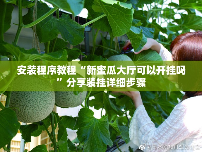 安装程序教程“新蜜瓜大厅可以开挂吗”分享装挂详细步骤