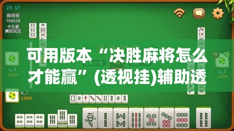 可用版本“决胜麻将怎么才能赢	”(透视挂)辅助透视教程