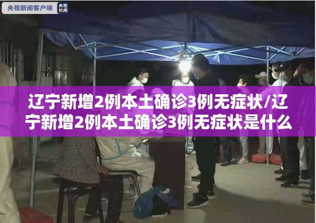 辽宁新增2例本土确诊3例无症状/辽宁新增2例本土确诊3例无症状是什么
