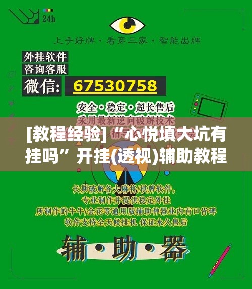 [教程经验]“心悦填大坑有挂吗”开挂(透视)辅助教程