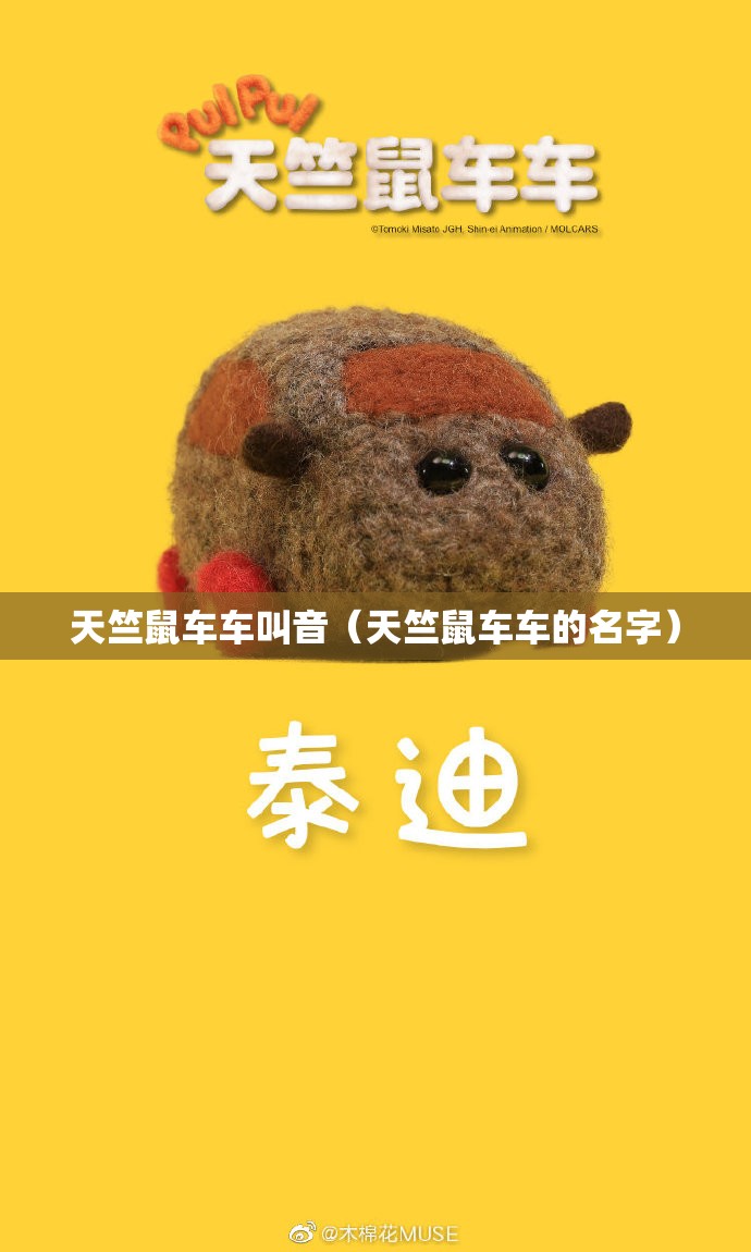 天竺鼠车车叫音(天竺鼠车车的名字) 天竺鼠车车叫音(天竺鼠车车的名字)