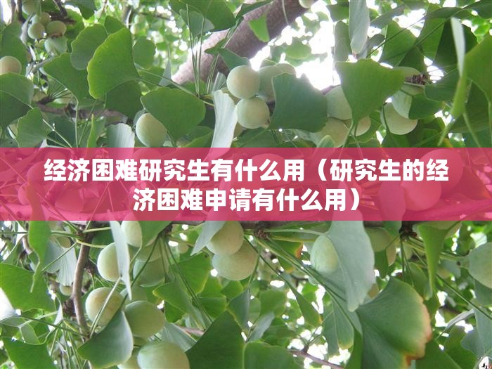 经济困难研究生有什么用(研究生的经济困难申请有什么用) 经济困难研究生有什么用(研究生的经济困难申请有什么用)