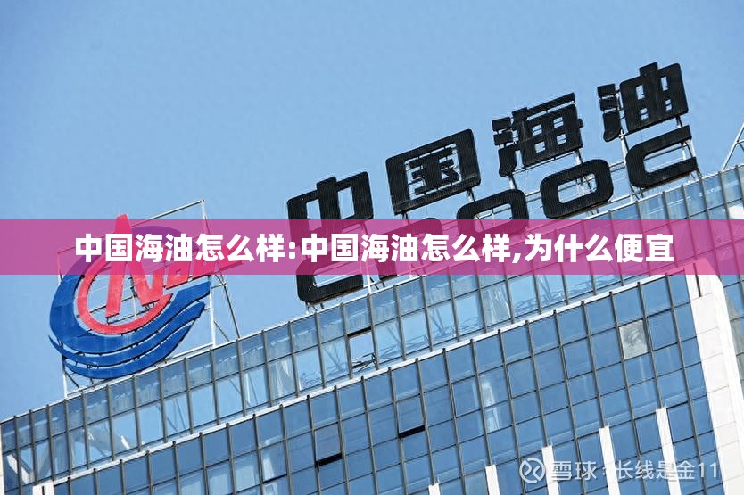 中国海油怎么样:中国海油怎么样,为什么便宜