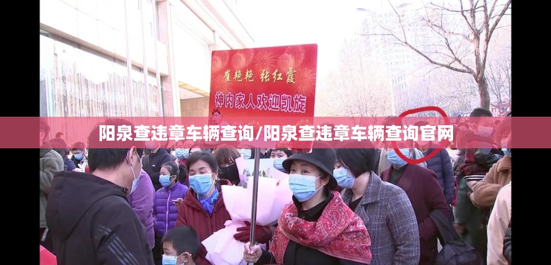 阳泉查违章车辆查询/阳泉查违章车辆查询官网