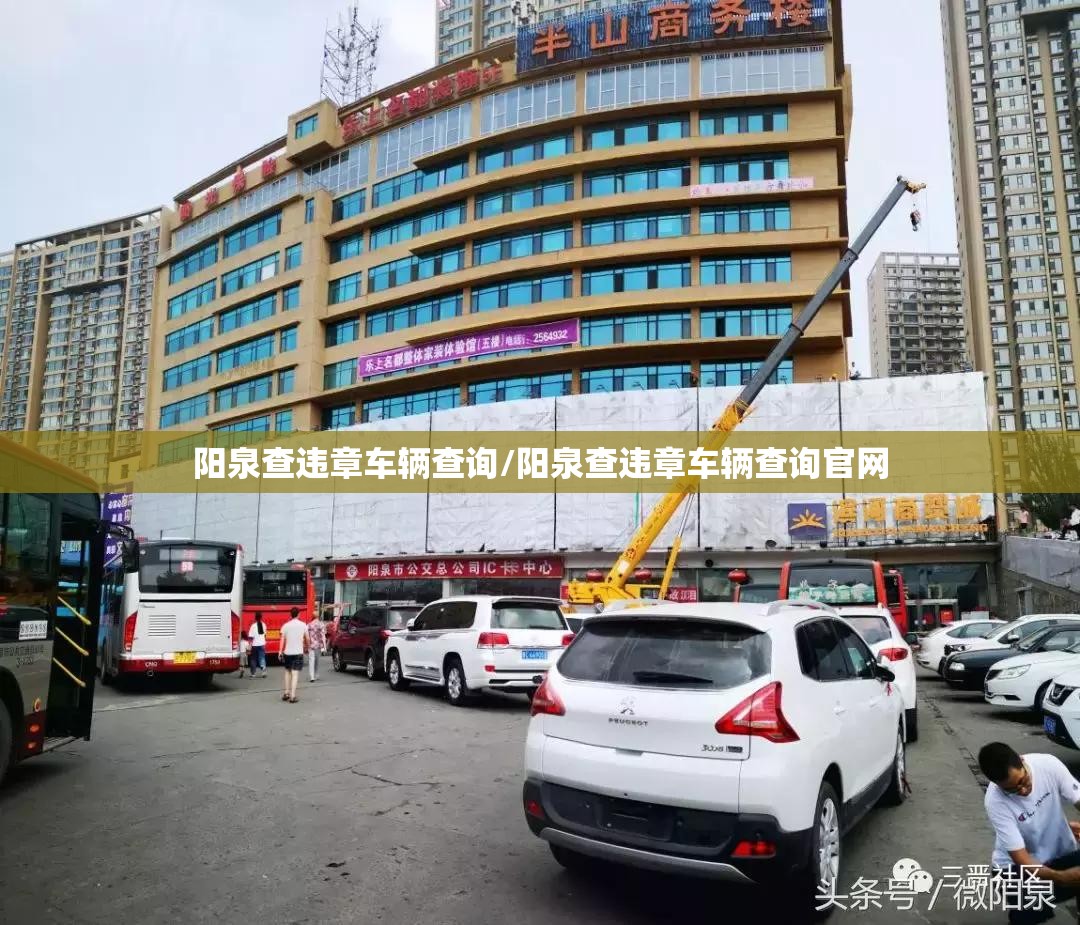 阳泉查违章车辆查询/阳泉查违章车辆查询官网
