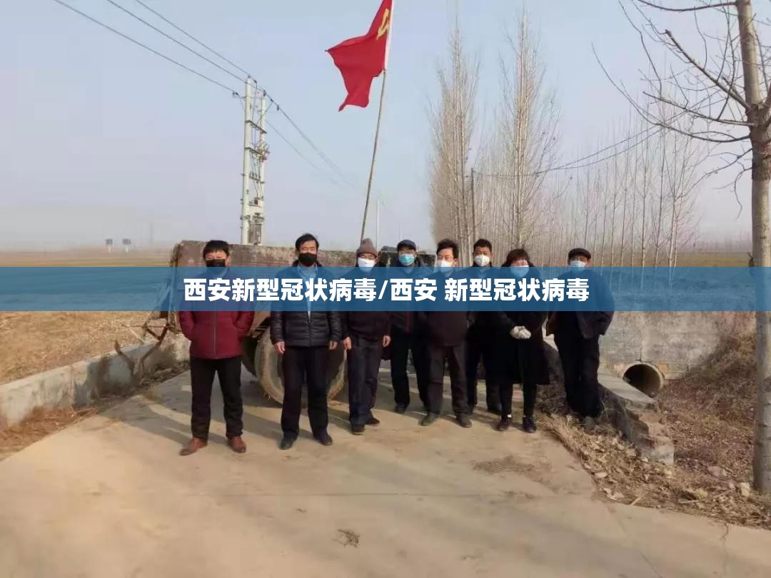 西安新型冠状病毒/西安 新型冠状病毒 西安新型冠状病毒/西安 新型冠状病毒