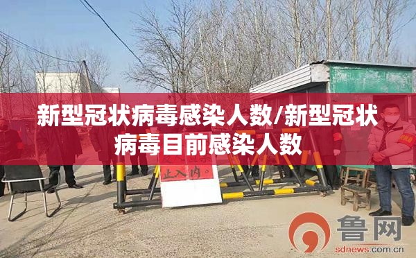 新型冠状病毒感染人数/新型冠状病毒目前感染人数 新型冠状病毒感染人数/新型冠状病毒目前感染人数