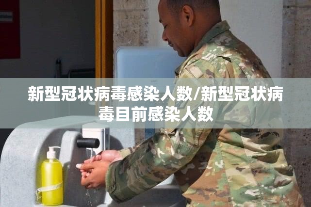 新型冠状病毒感染人数/新型冠状病毒目前感染人数 新型冠状病毒感染人数/新型冠状病毒目前感染人数