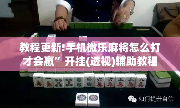 教程更新!手机微乐麻将怎么打才会赢”开挂(透视)辅助教程