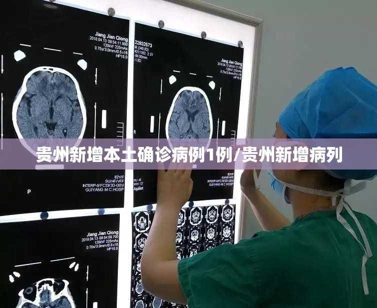 贵州新增本土确诊病例1例/贵州新增病列 贵州新增本土确诊病例1例/贵州新增病列