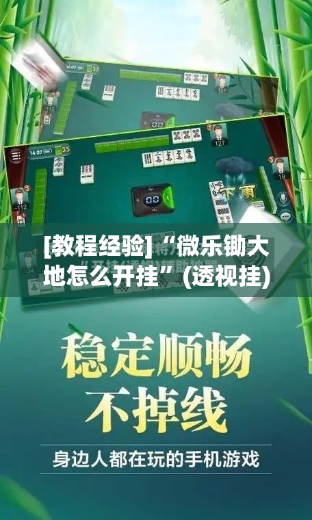 [教程经验]“微乐锄大地怎么开挂”(透视挂)辅助透视教程