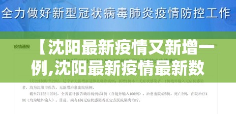 【沈阳最新疫情又新增一例,沈阳最新疫情最新数据】