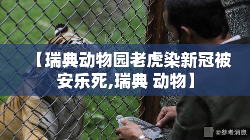 【瑞典动物园老虎染新冠被安乐死,瑞典 动物】