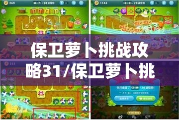保卫萝卜挑战攻略31/保卫萝卜挑战攻略31关怎么过 保卫萝卜挑战攻略31/保卫萝卜挑战攻略31关怎么过