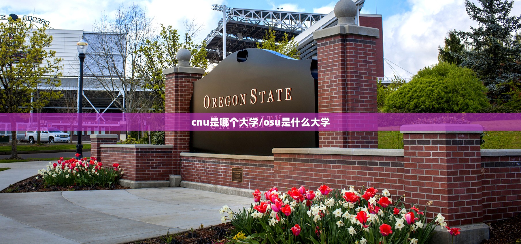 cnu是哪个大学/osu是什么大学