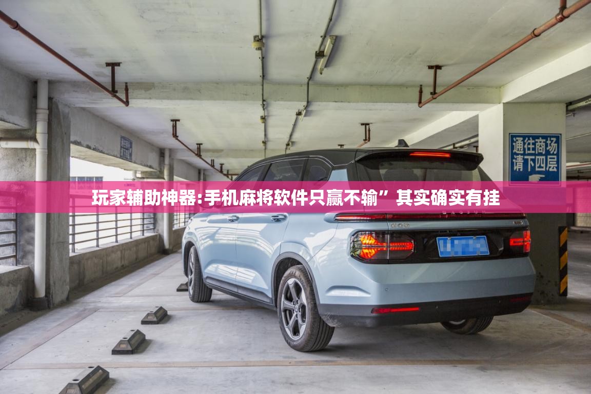玩家辅助神器:手机麻将软件只赢不输	”其实确实有挂