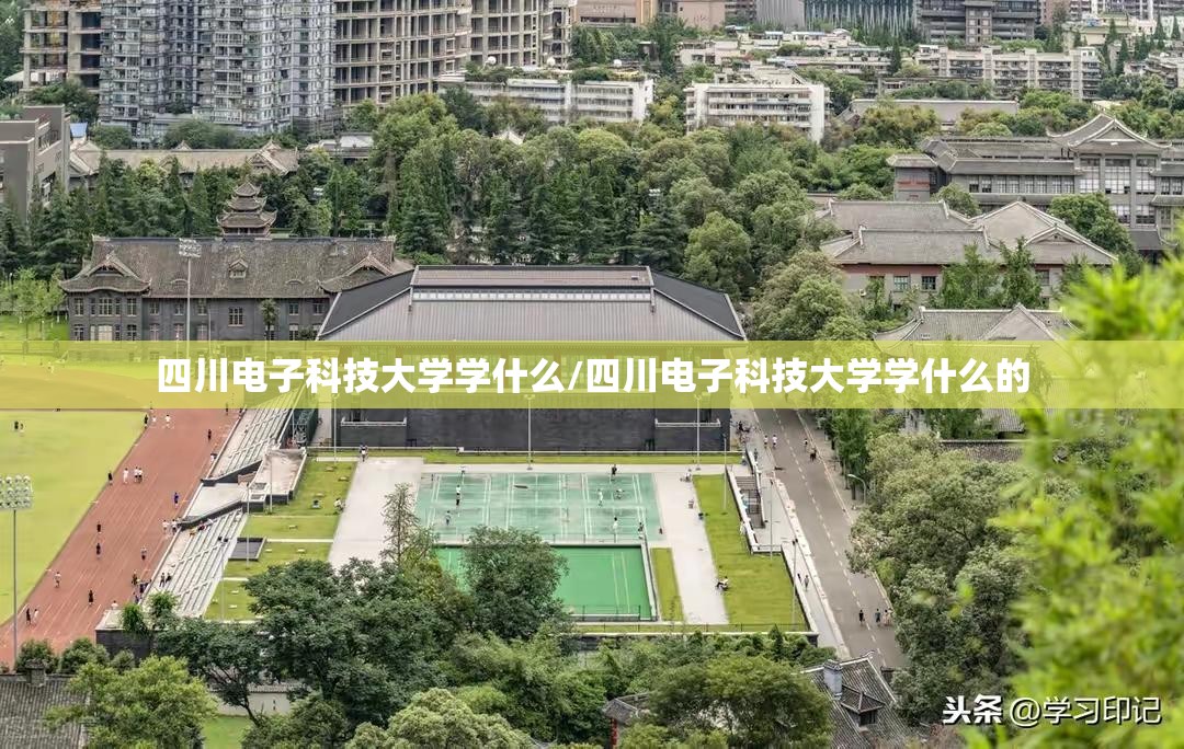四川电子科技大学学什么/四川电子科技大学学什么的 四川电子科技大学学什么/四川电子科技大学学什么的