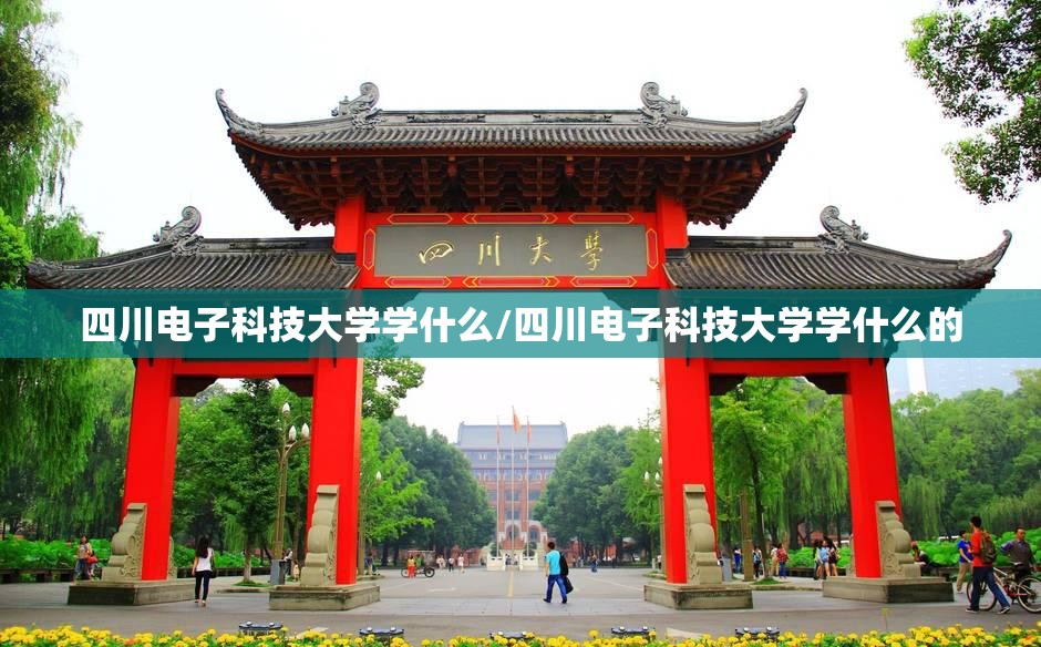 四川电子科技大学学什么/四川电子科技大学学什么的 四川电子科技大学学什么/四川电子科技大学学什么的